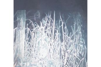 Luc Tuymans contemporary artist