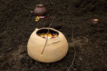 Contemporary art exhibition Group Exhibtion Several Eternities in a Day Form in the Age of Living Materials at Hammer Museum Los Angeles United States