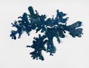 Liquen lapis-lazuli II Lapis-Lazuli Lichen II by Leo Battistelli contemporary artwork Sculpture