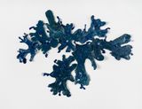 Liquen lapis-lazuli II Lapis-Lazuli Lichen II by Leo Battistelli contemporary artwork sculpture