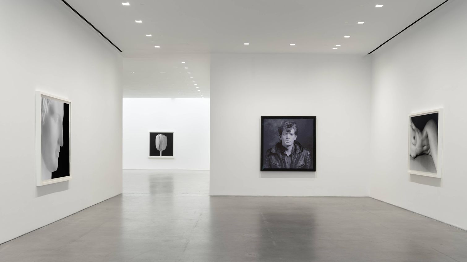 アート・デザイン・音楽 ROBERT MAPPLETHORPE EARLYWORKS Robert