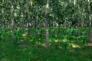 Liu Bolin