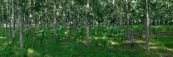 Forrest by Liu Bolin contemporary artwork Photography