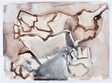 Cage Syria map variations by Fiona Hall contemporary artwork works on paper