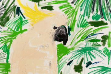Andi Fischer contemporary artist