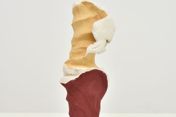 Giuseppe Penone contemporary artist