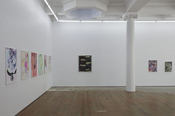 Contemporary art exhibition Stella Corkery Paradises at Lett Thomas Karangahape Road New Zealand