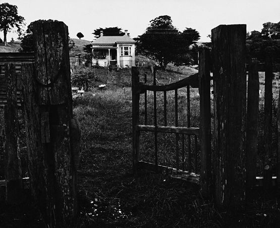 House in Hauraki Gulf by Marti Friedlander contemporary artwork Photography