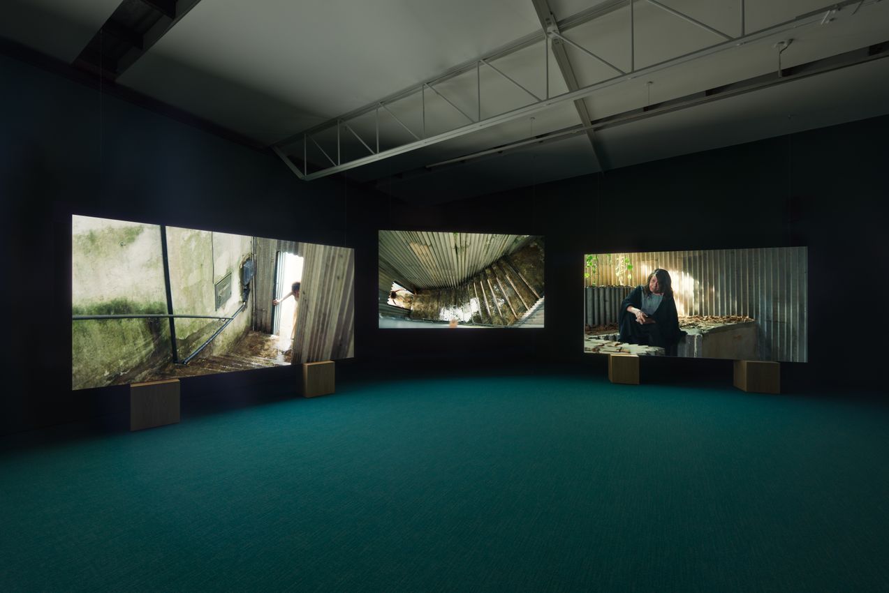 Isaac Julien