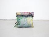 Pillow Asparagus by Tianyi Sun contemporary artwork print