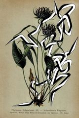 FFIGURATI 573 by Enrico Isamu Oyama contemporary artwork painting