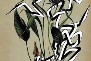 Enrico Isamu Oyama