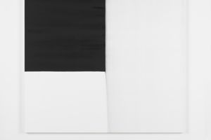 Callum Innes