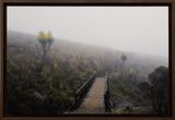 Everymans Mountain Moorland  002 by Omar Al Gurg contemporary artwork print