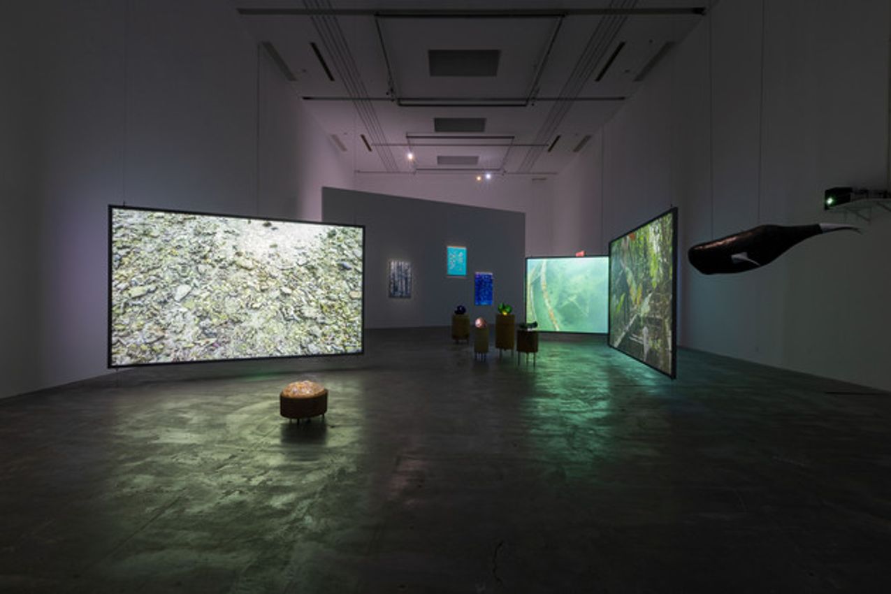 Curated by Sun Wenjie