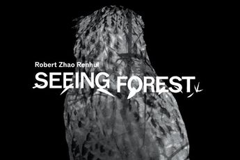 Contemporary art exhibition Robert Zhao Renhui Seeing Forest at Singapore Art Museum