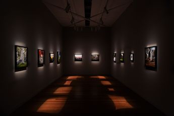 Contemporary art exhibition Louise Hearman Louise Hearman at Roslyn Oxley9 Gallery Sydney Australia