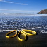 Land Extensums Intertidal Placement Banks Peninsula by Pauline Rhodes contemporary artwork photography