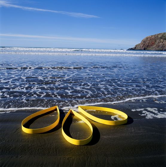 Land Extensums Intertidal Placement Banks Peninsula by Pauline Rhodes contemporary artwork Photography
