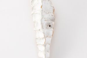 Eve Biddle