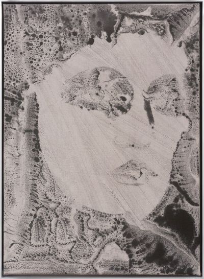 The Many Masks of David Noonan at Roslyn Oxley9 Gallery
