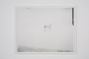 Simon Starling
