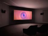 Paradise by Tacita Dean contemporary artwork moving image