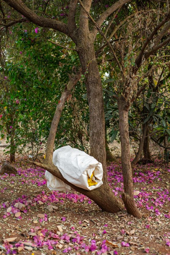 Garten from the Ubergang series by Grit Schwerdtfeger contemporary artwork Photography