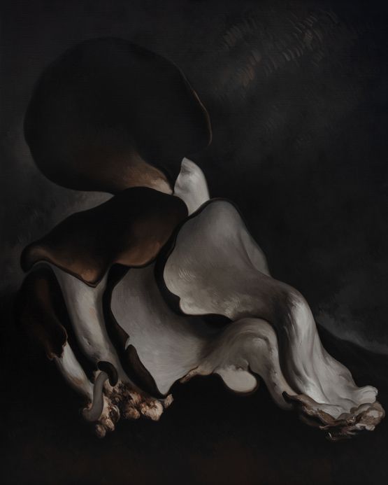 Mushroom No.16  No.16 by Yan Bing contemporary artwork Painting