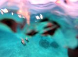 Between an Island and a Rock 02 by Janet Bellotto contemporary artwork painting