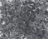 Drawing 24-13 by Fujiwara Shiho contemporary artwork works on paper