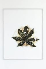 Herbarium Amazonas - Sheets 1 by Christoph Keller contemporary artwork print