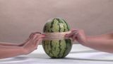 Watermelon by Steve Carr contemporary artwork moving image