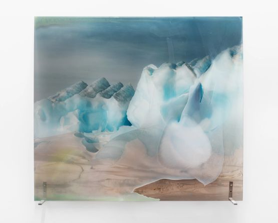 Spilling Time Once Were Forests series by Janet Laurence contemporary artwork Photography