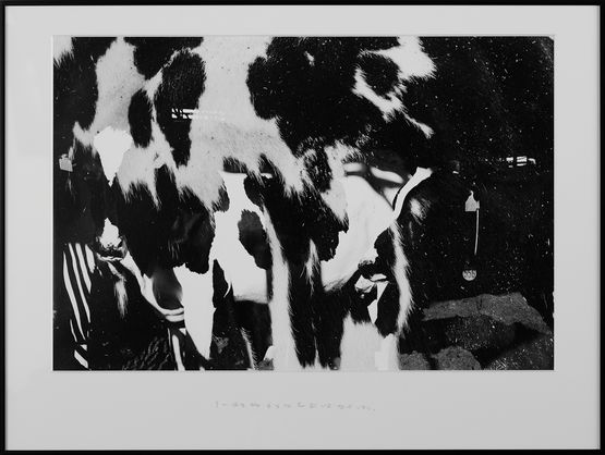 The Creatures Had No Name by Kohei Kyomori contemporary artwork Works on Paper