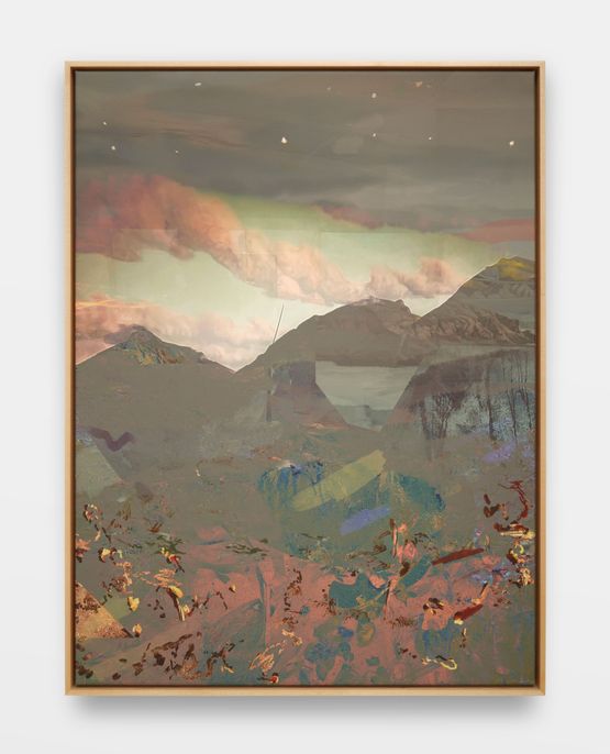 netlock.exe charmfield twilight_input glowtrace by Petra Cortright contemporary artwork Painting