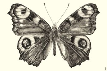 Zhang Yirong contemporary artist
