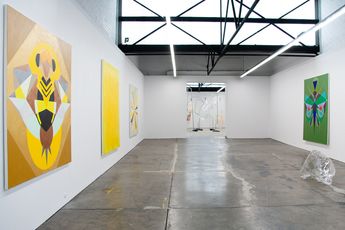 Contemporary art exhibition Mikala Dwyer A Sun A Flower A Bee at 1301SW Melbourne Australia