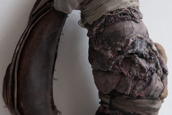Contemporary art exhibition Group Exhibition The Material Gaze curated by Ory Dessau at Knust Kunz Gallery Editions Knokke Belgium