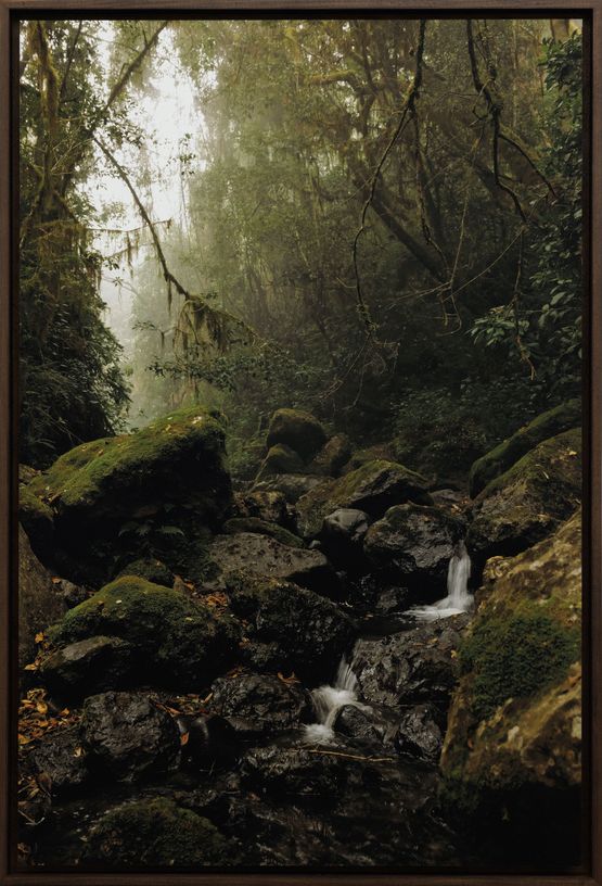 Everymans Mountain Lower Slopes  002 by Omar Al Gurg contemporary artwork Print