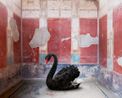 Ledas Seduction House of the Red Walls Pompeii by Karen Knorr contemporary artwork Photography