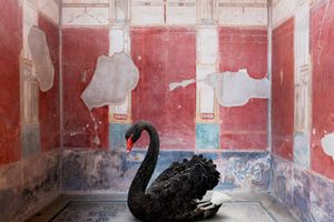 Karen Knorr