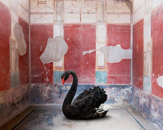 Ledas Seduction House of the Red Walls Pompeii by Karen Knorr contemporary artwork Photography