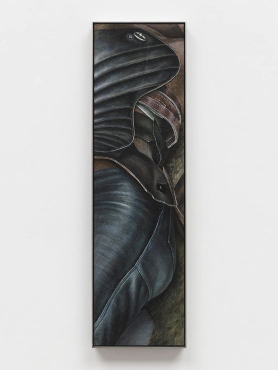 Corset by Klara Hosnedlova contemporary artwork Mixed Media