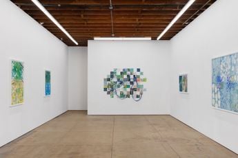 Contemporary art exhibition Fran Siegel Arrabida at Wilding Cran Gallery  Los Angeles United States