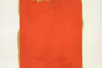 Rudolf Stingel contemporary artist