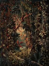 The Other Day MVI by Sonja Braas contemporary artwork print