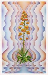 Psyacti 6 by Francesca Gabbiani  Eddie Ruscha contemporary artwork works on paper