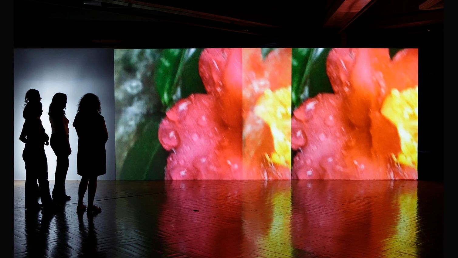 Pipilotti Rist