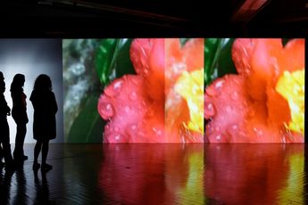 Contemporary art exhibition Pipilotti Rist Supersubjektiv at Museum of Contemporary Art Chicago United States